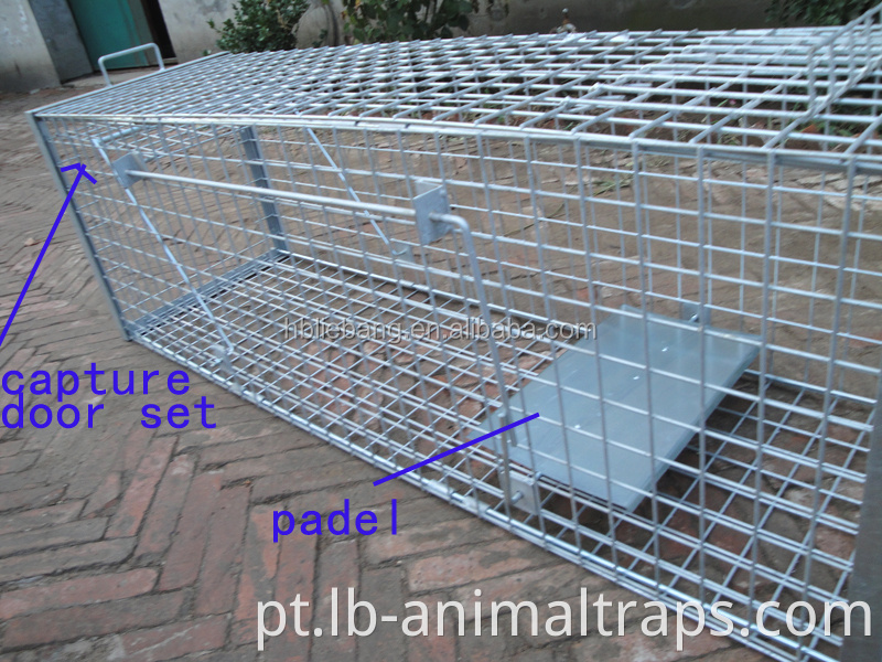 Humanne Live Live Animal Trap Cage Fox Armadias à venda